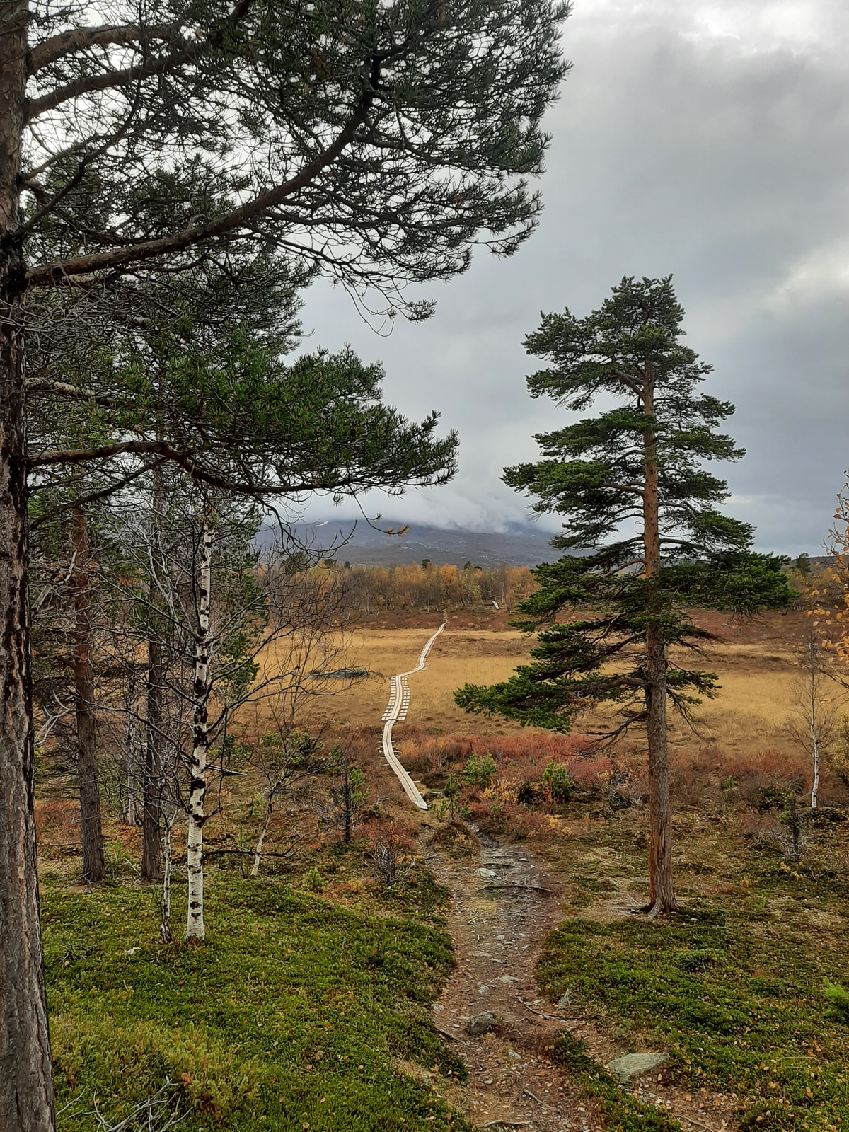 abisko national park route