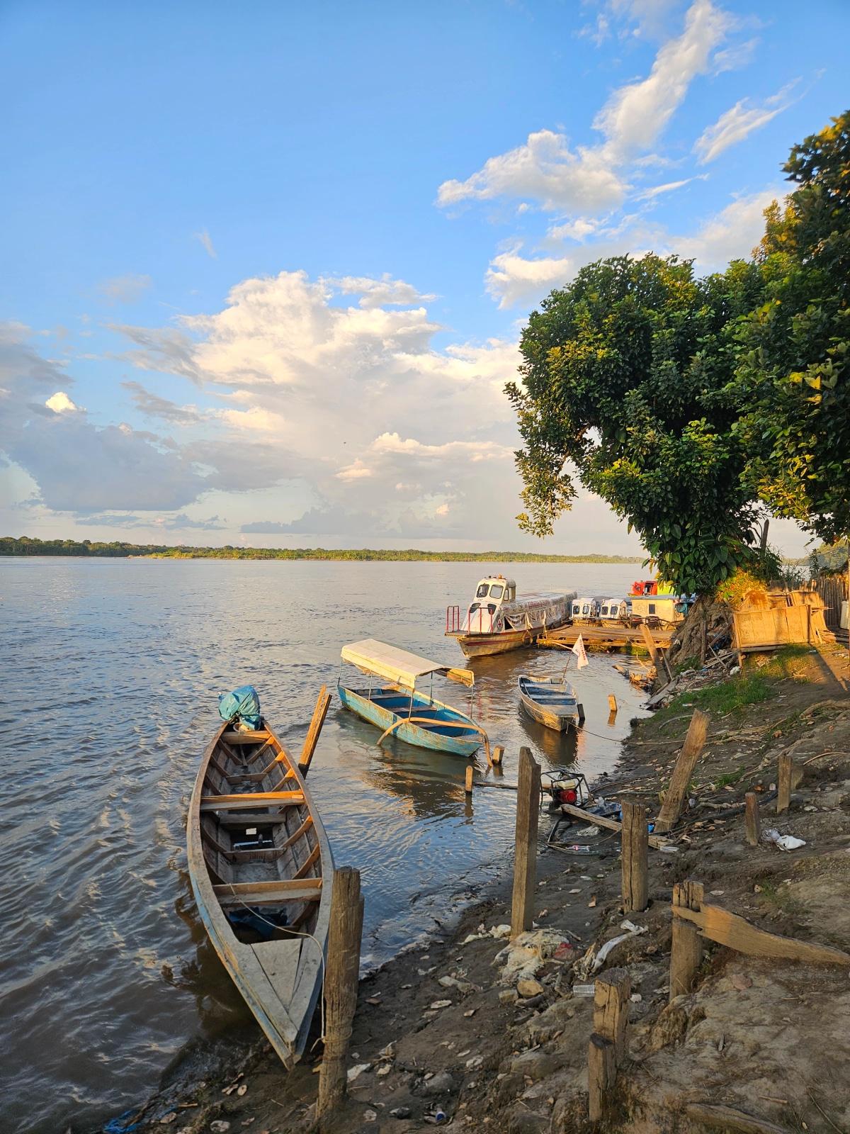 View of the riverbank from the boat