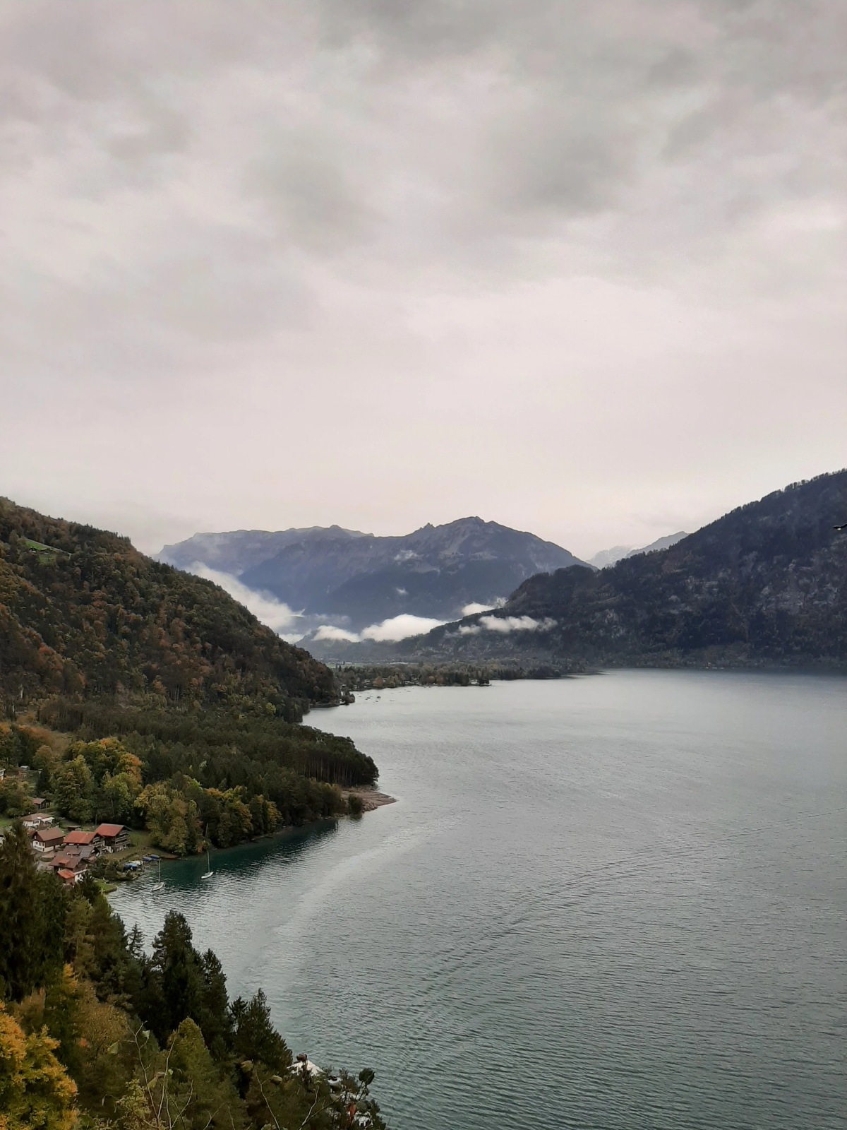 View of the Thunersee